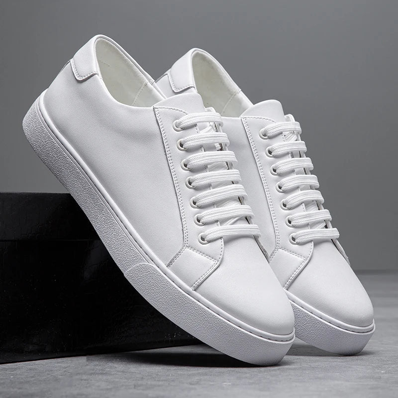 Ascend Leather Sneakers