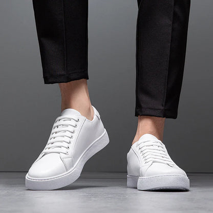 Ascend Leather Sneakers