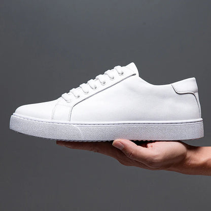 Ascend Leather Sneakers